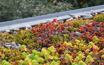 the cost of Troswell green roof installation